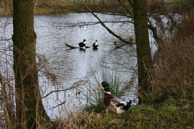 IMG_3258