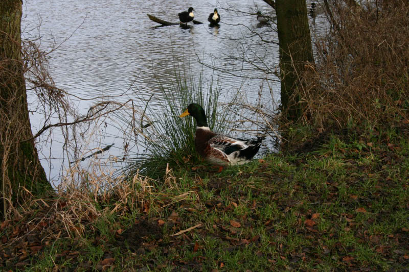 IMG_3259