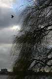 IMG_2949