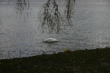 IMG_2951
