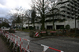IMG_2963