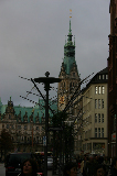 IMG_2994