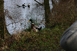 IMG_3256