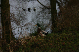 IMG_3257