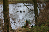 IMG_3258