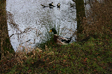 IMG_3259