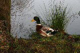 IMG_3260