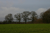 IMG_3274