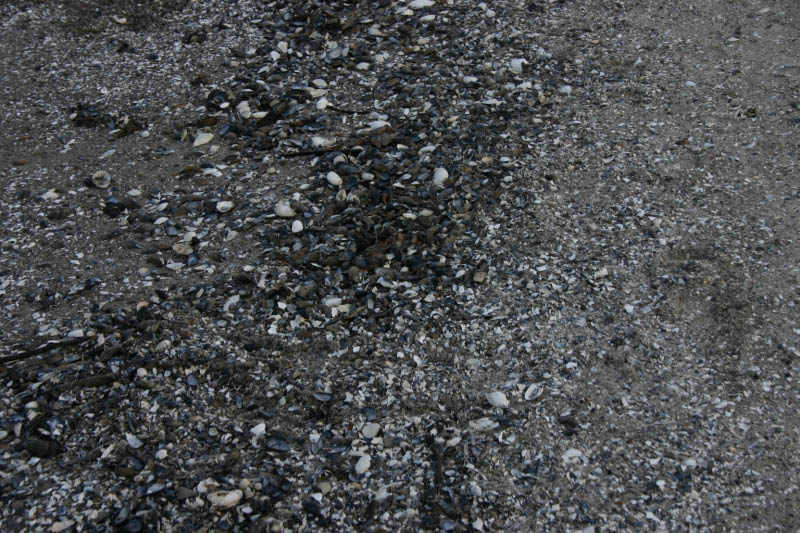 IMG_2862