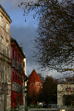 IMG_2779