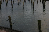 IMG_2857