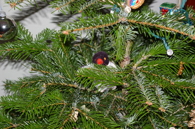 Penguin in our Christmas tree.