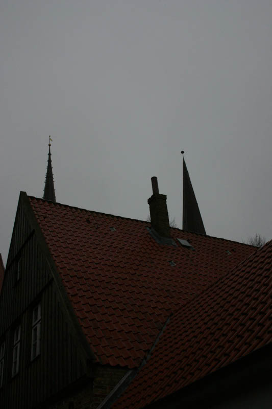 IMG_2589