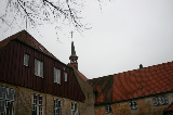 IMG_2531