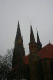 IMG_2557