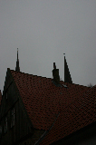 IMG_2589