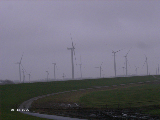 Windmills005
